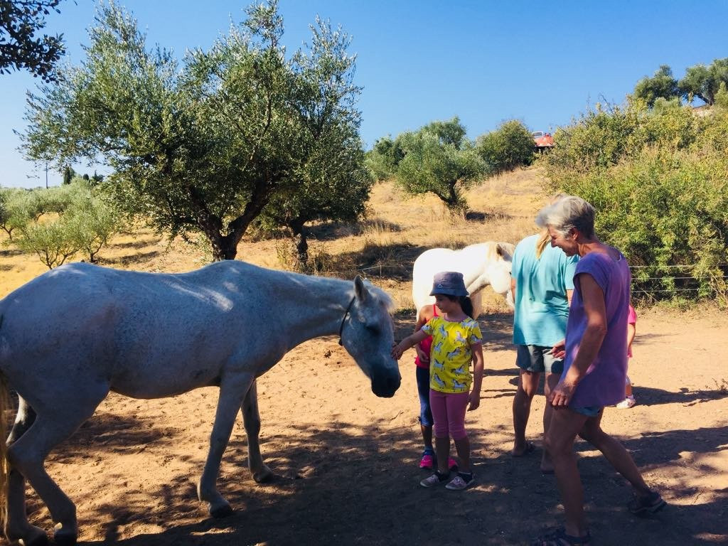PeripetiaHorses-Chrani必去景点
