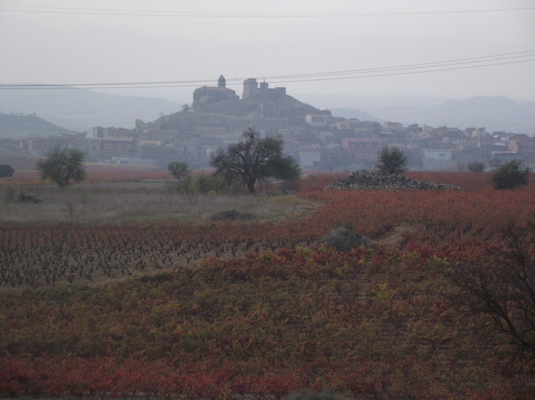 Tour Wine Crawl-Lodosa必去景点