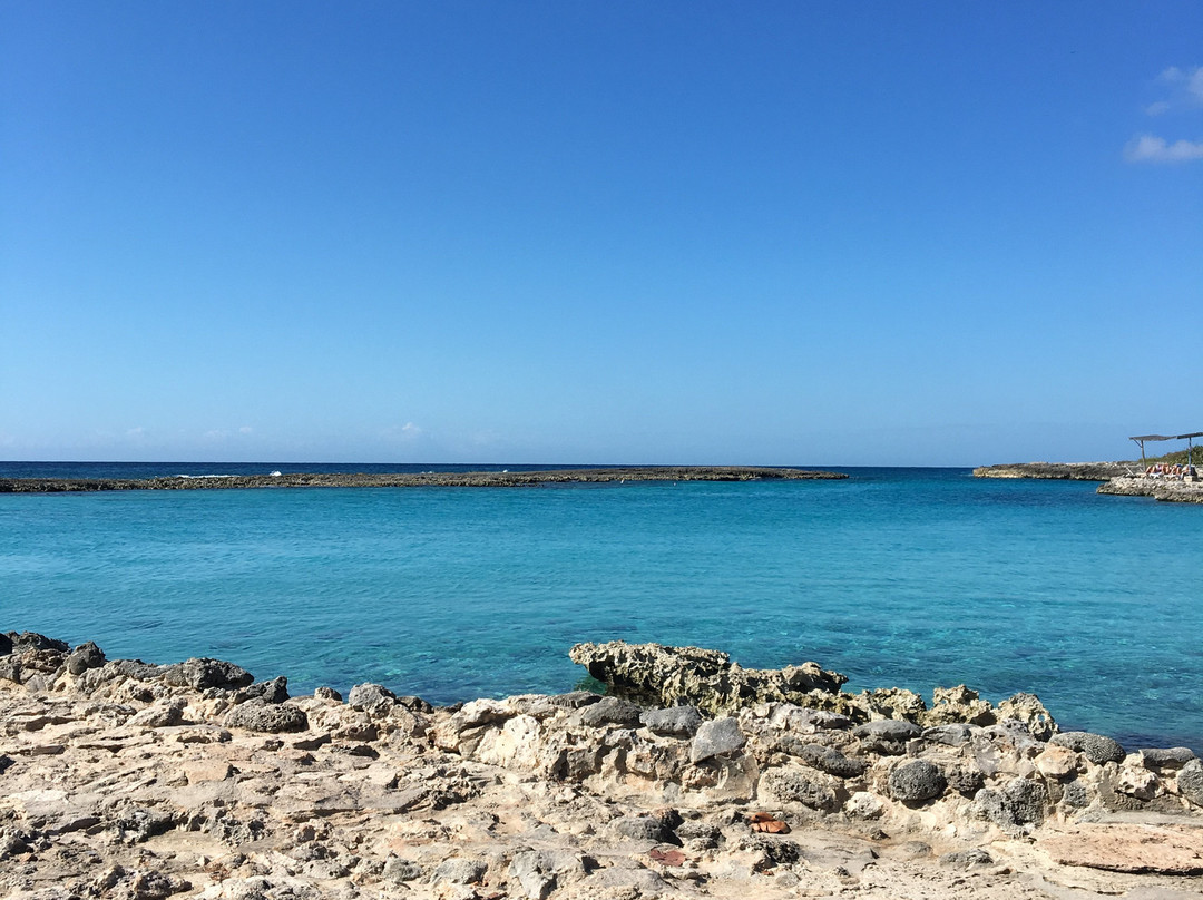 Casa Particular Coralia-Carlos主图