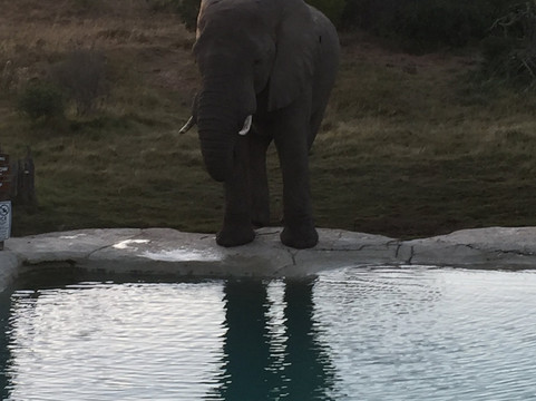 Hlosi Game Lodge主图