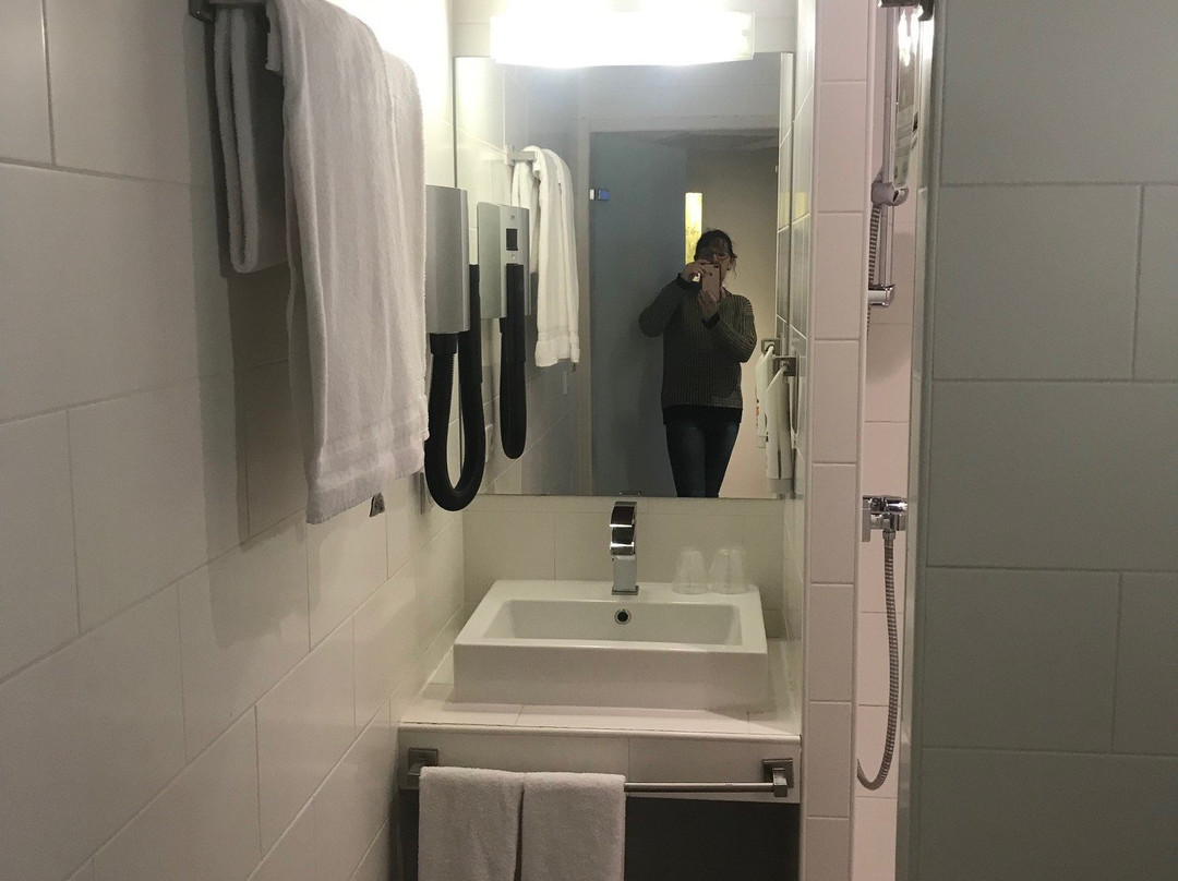 Hotel ibis Styles Saint Julien en Genevois Vitam主图