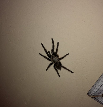 Okutembuka Safaris-温德和克必去景点