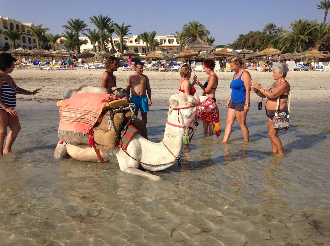 Le Diana Beach主图