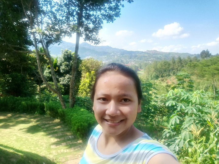 Jimmers Mountain Resort主图