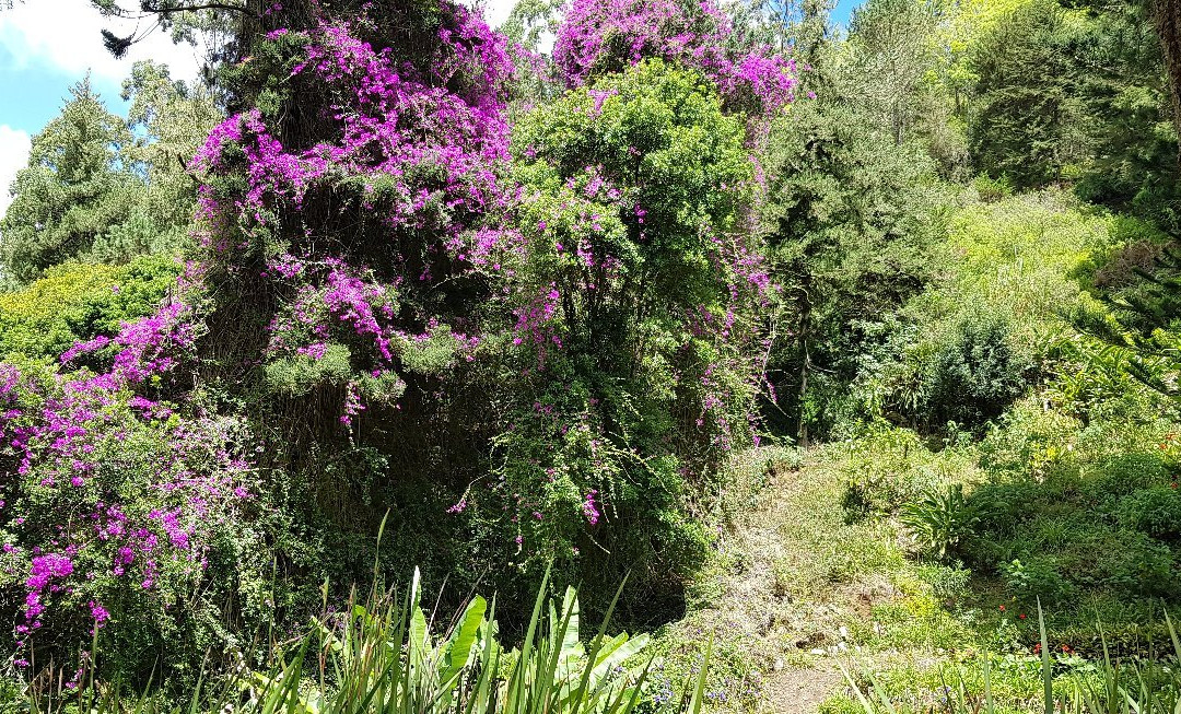 Napoleon's Tomb-St Helena Island必去景点