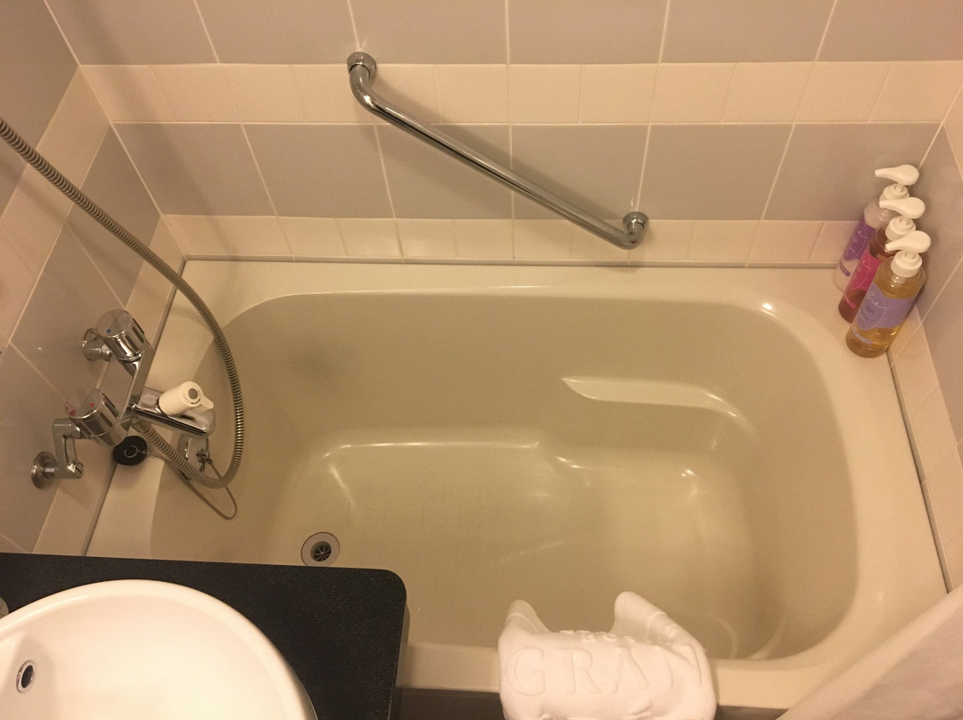 相鐵Fresa Inn 東京赤坂主图