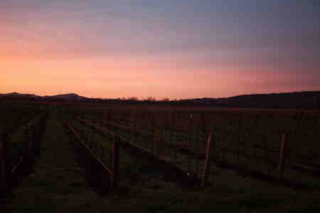 Delorimier Winery Vineyard Farmstay-酒店景观