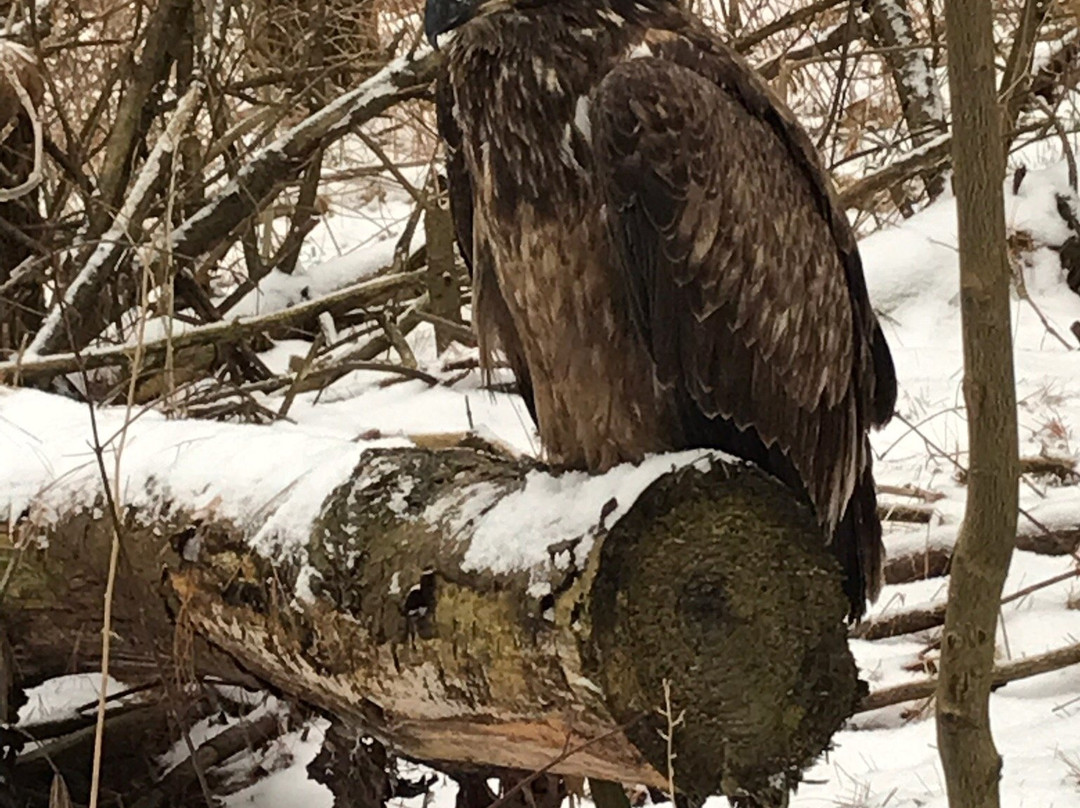 Christie Lake Conservation Area-邓达斯必去景点