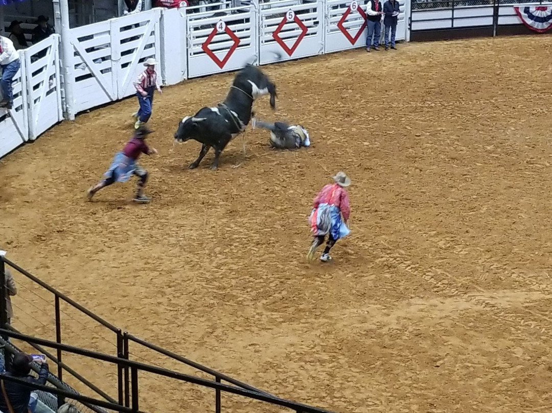 Will Rogers Memorial Center-沃思堡必去景点