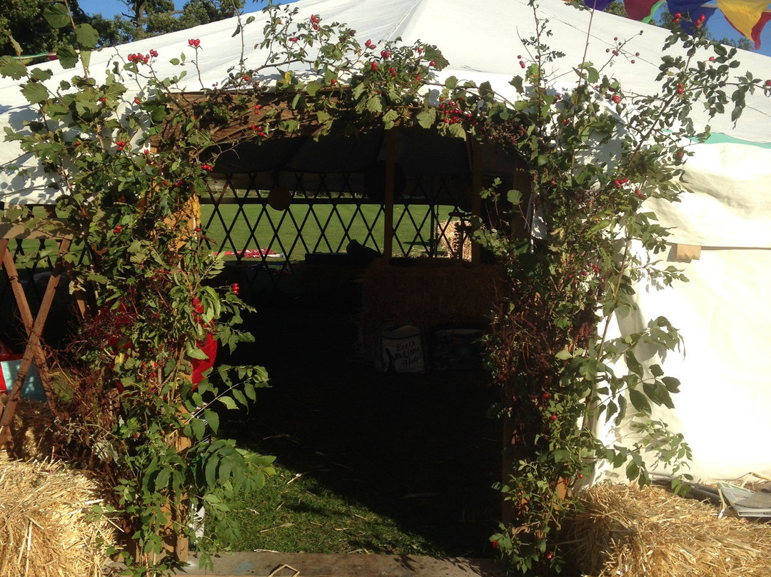 The Golden Lion Inn主图