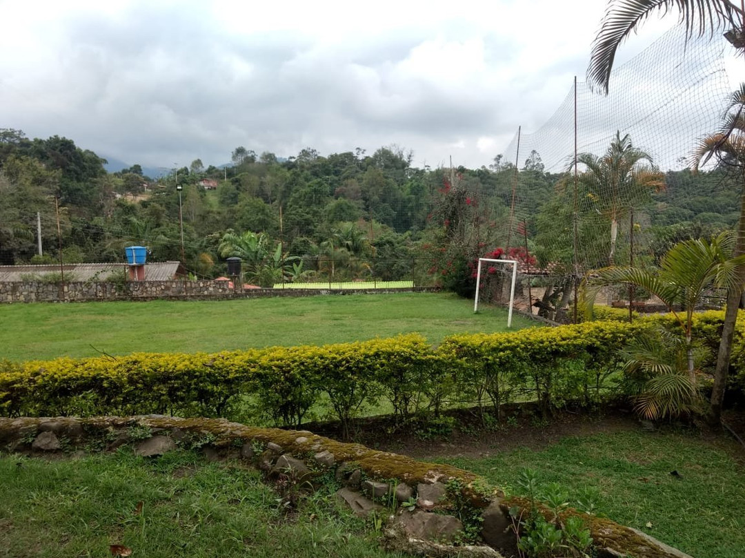 La Casa del Arbol主图