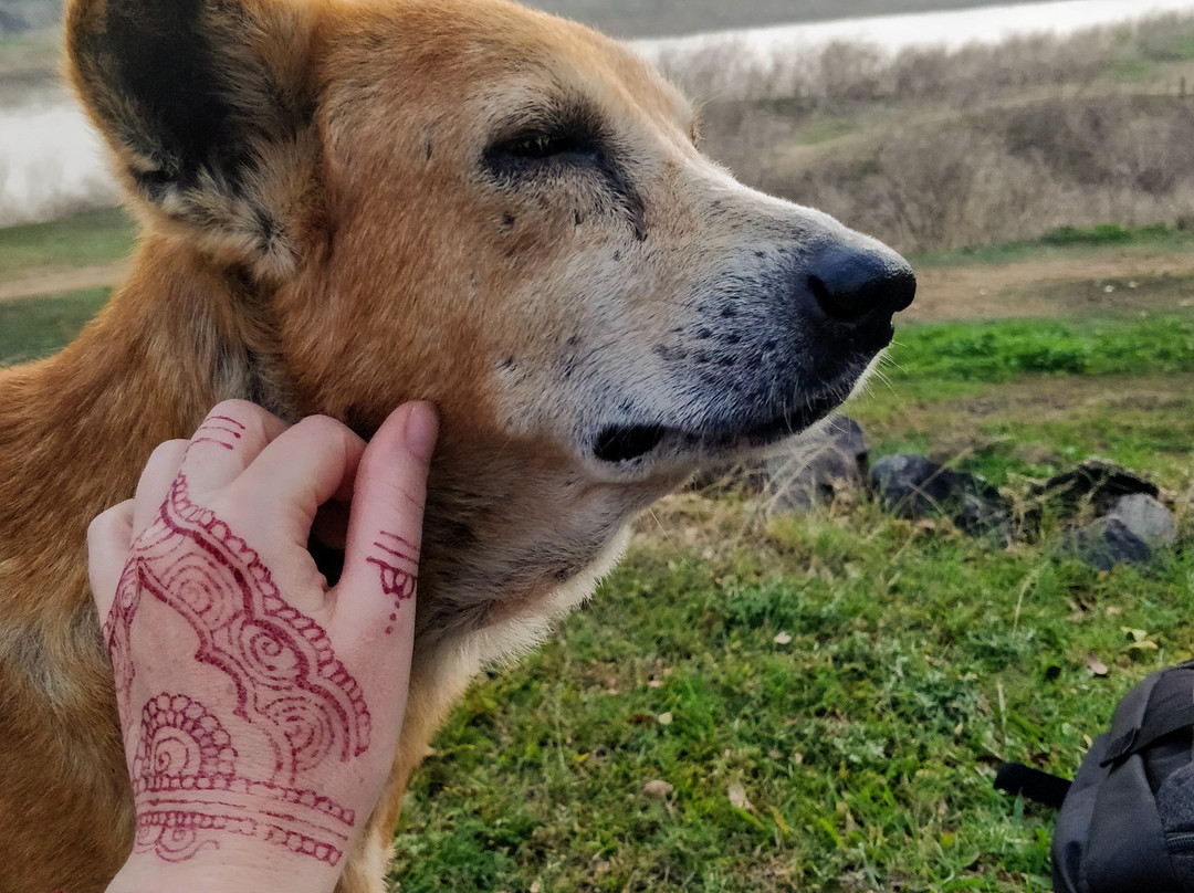 Mountbatten's Officers Mess Kandy主图