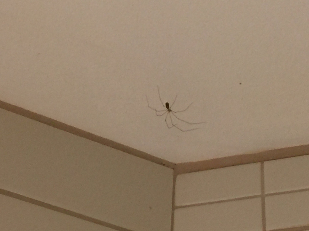 伍德布里奇德温特酒店主图