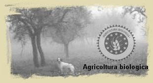 Azienda Agraria Paolo Bettini-Montefalco必去景点