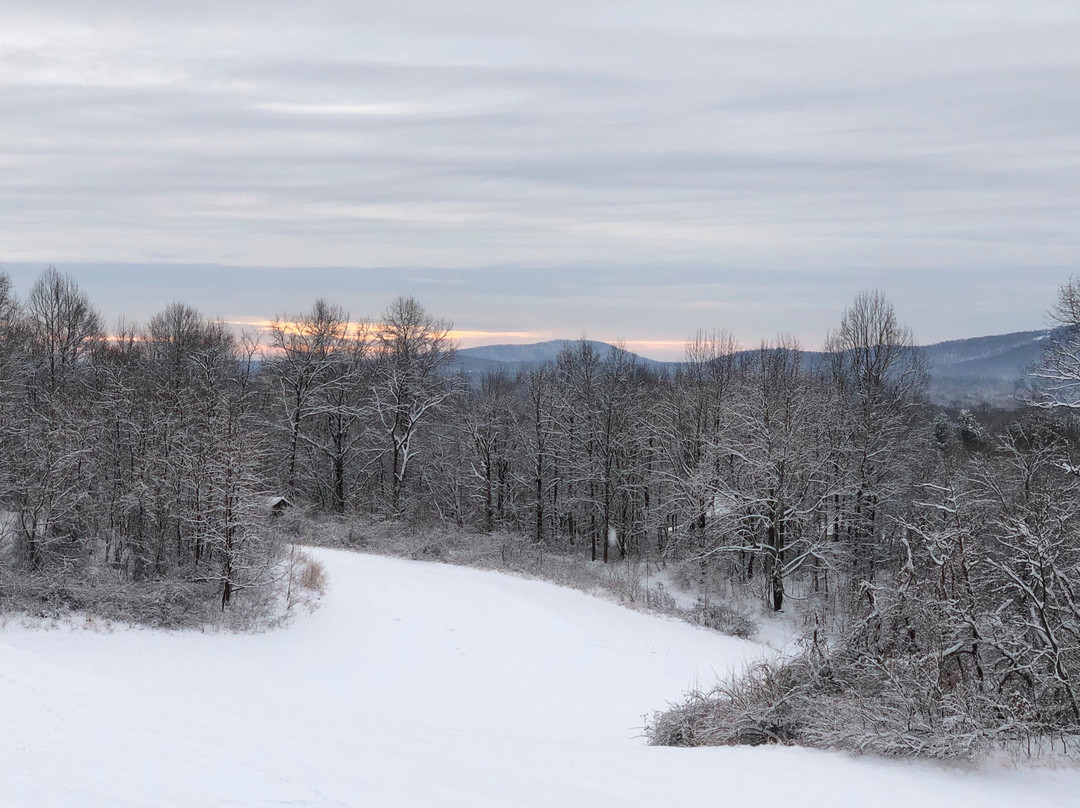 Skyline Vineyard Inn主图