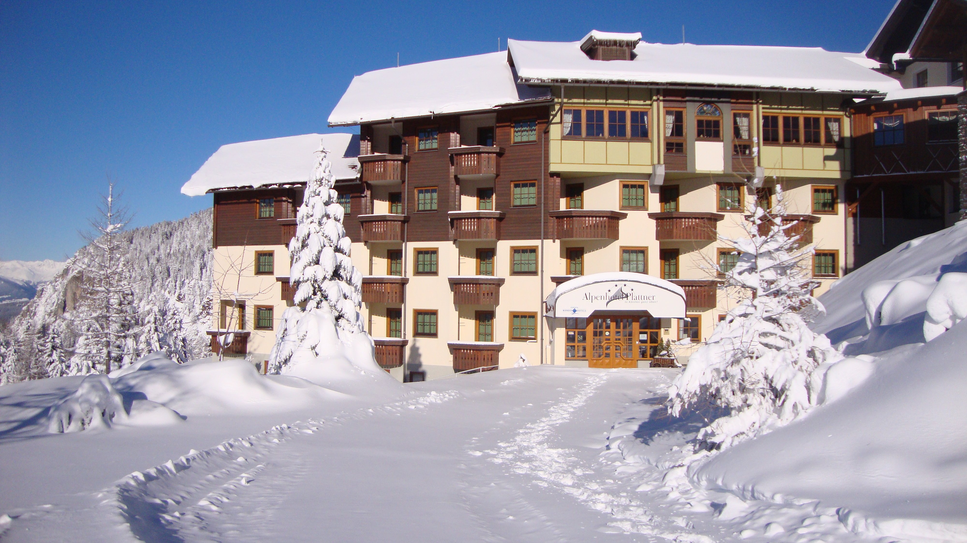 Alpenhotel Plattner-官方