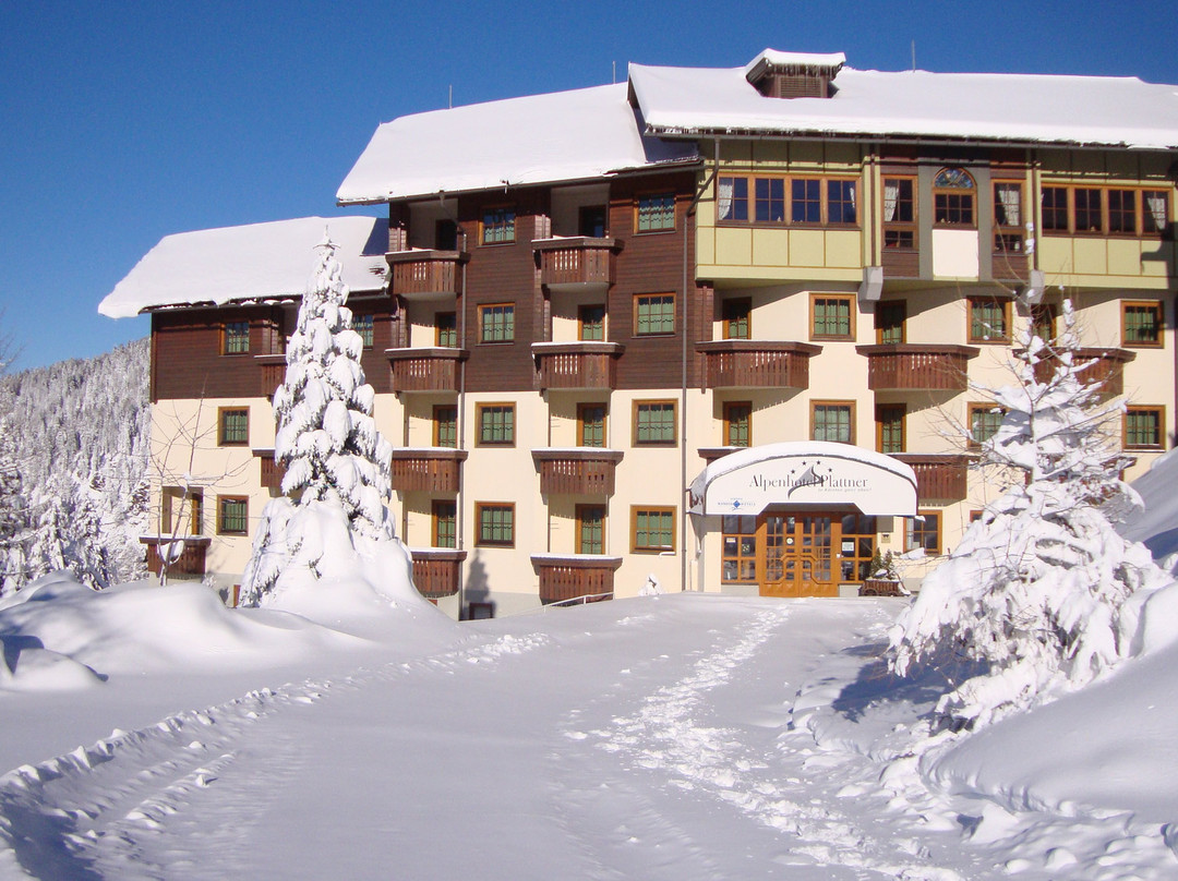 Alpenhotel Plattner主图