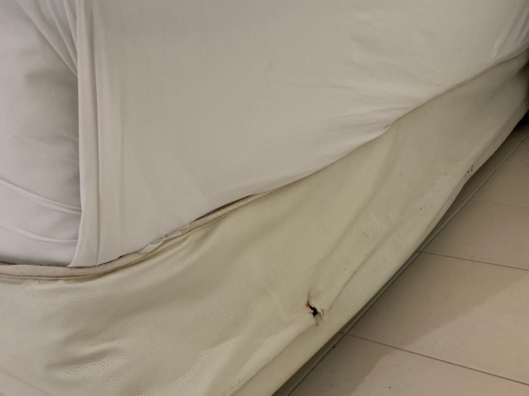 奈斯海滩酒店主图