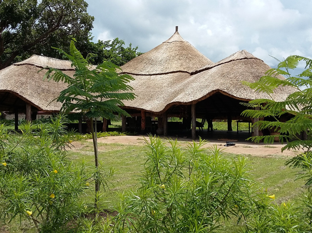 Kigelia Campsite