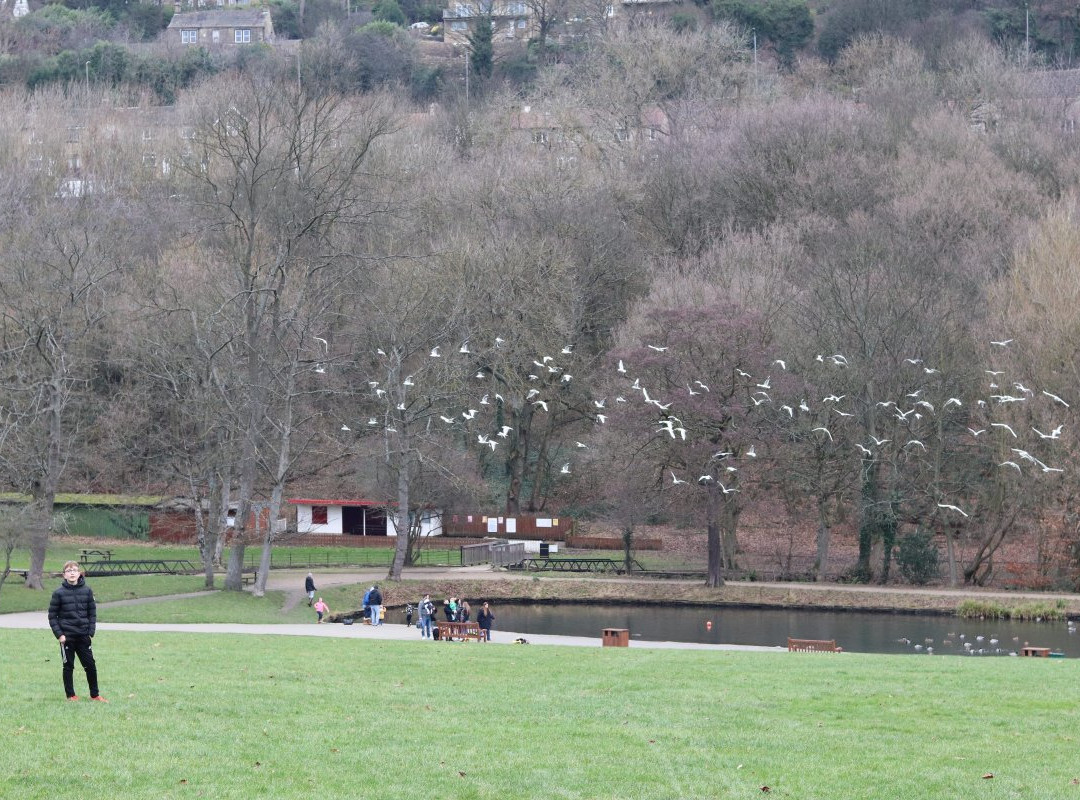 Shibden Park景点图片