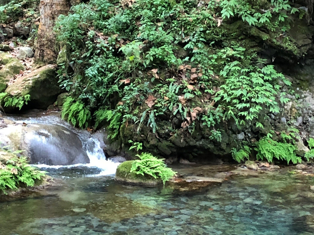 Cascada El Chuveje景点图片