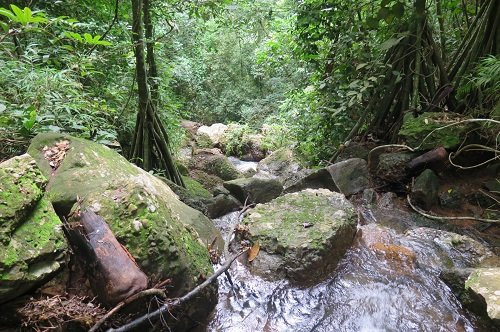 Cachoeira dos Parecis-Guajara-Mirim必去景点