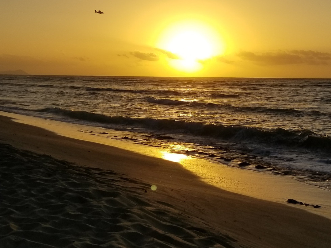 White Plains Beach景点图片