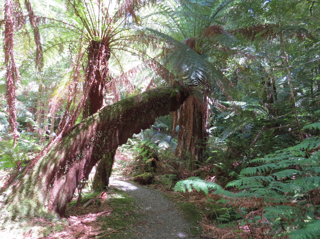 Styx Valley-Maydena必去景点