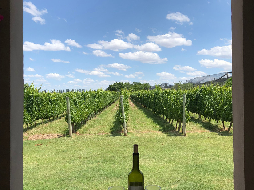 Posada Cavieres Wine Farm主图