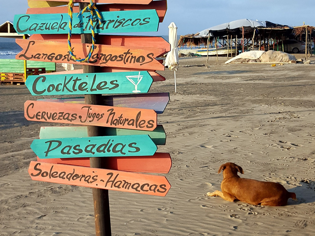 Aria Hotel & Spa主图