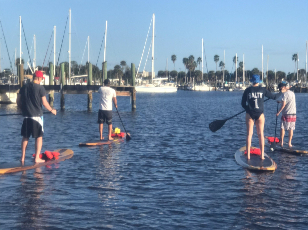 Three Brothers Boards Dolphin and Manatee Paddle Board Tours景点图片