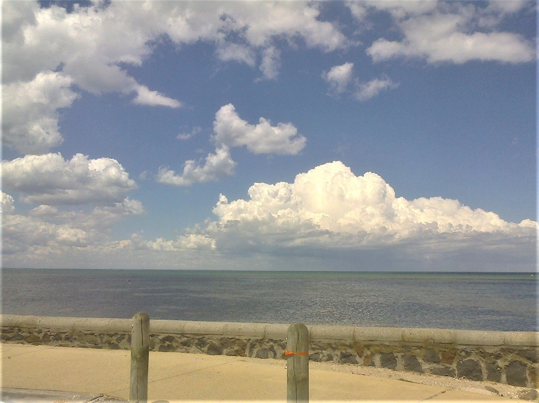 Altona Beach景点图片