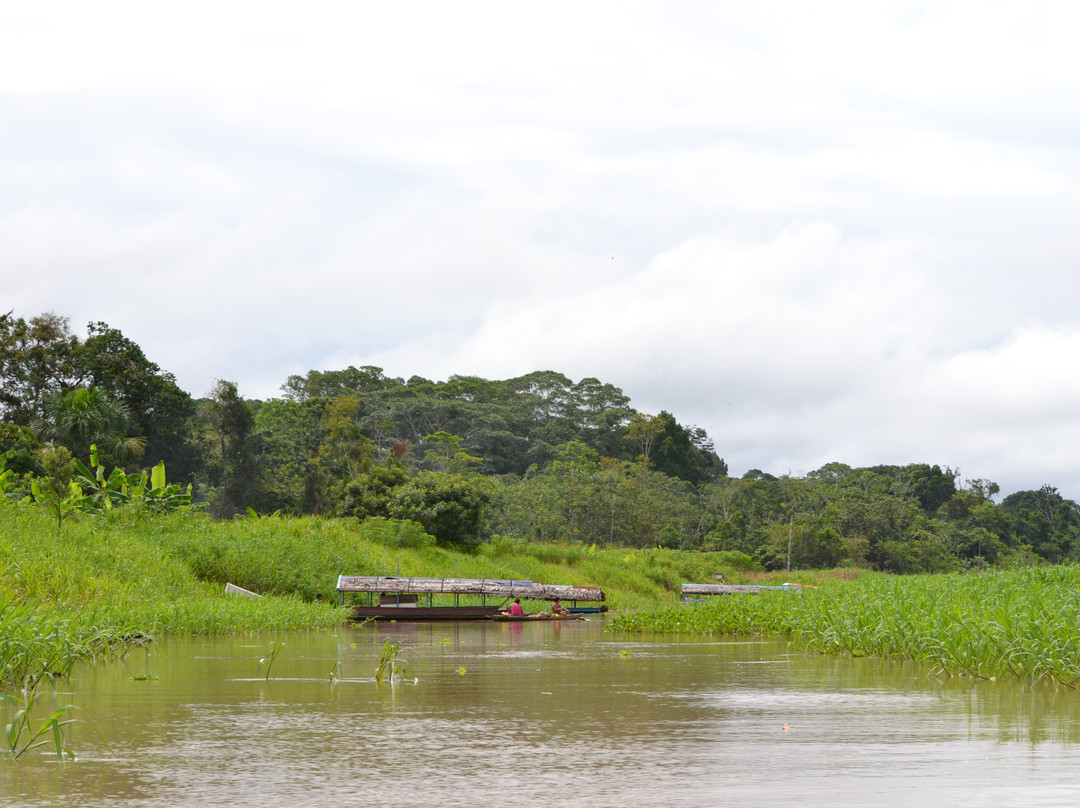 Amazon River景点图片