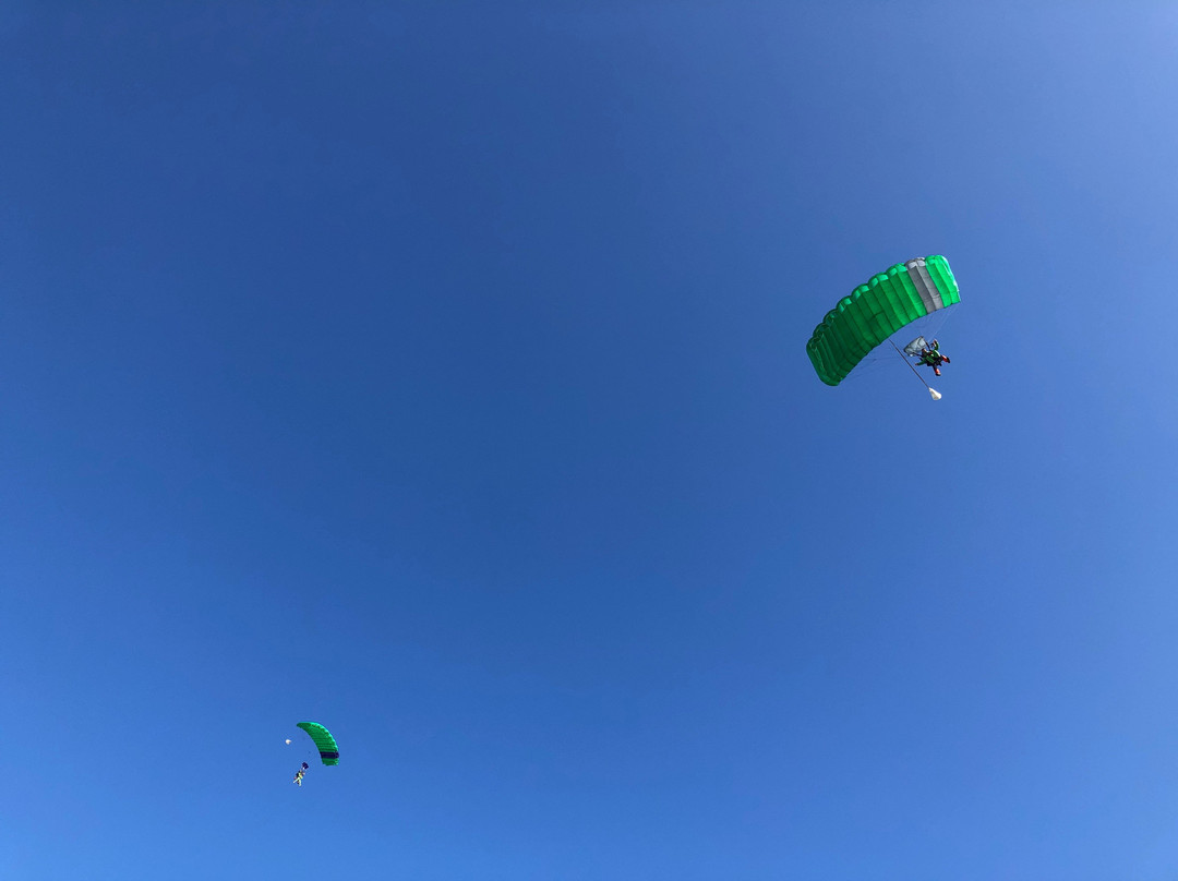 Skydive Tauranga景点图片