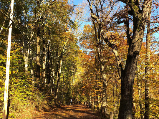 Leakin Park-巴尔的摩必去景点