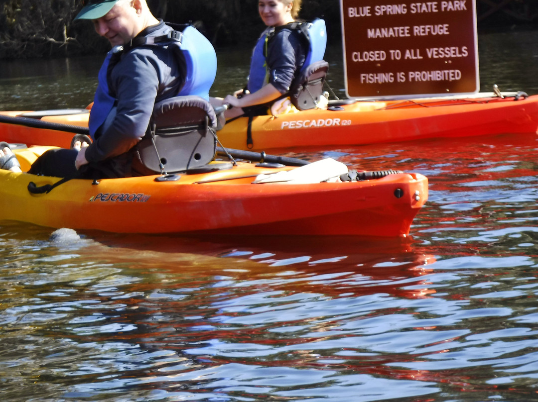 Kayaking Florida景点图片