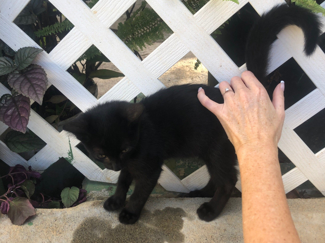 Tia's Hot Spa-罗索必去景点