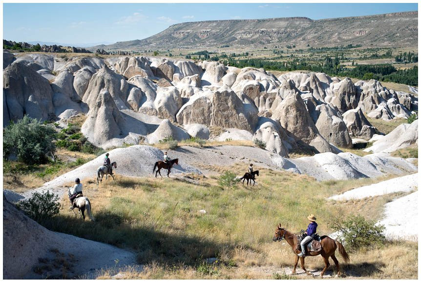 Akhal-Teke Horse Riding Center景点图片