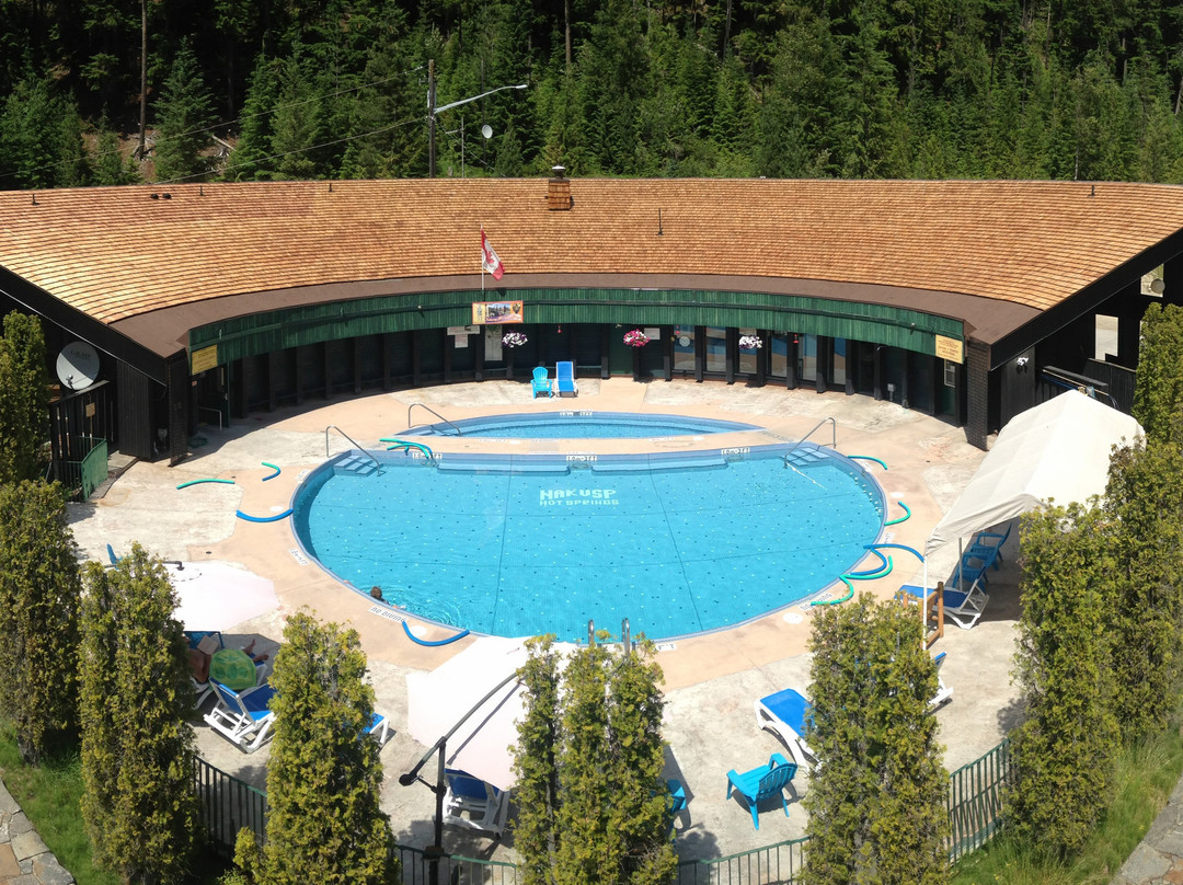 Nakusp Hot Springs Cedar Chalets主图