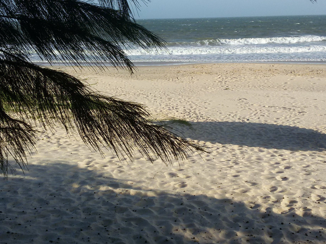 Whitesands Kitesurfing School景点图片