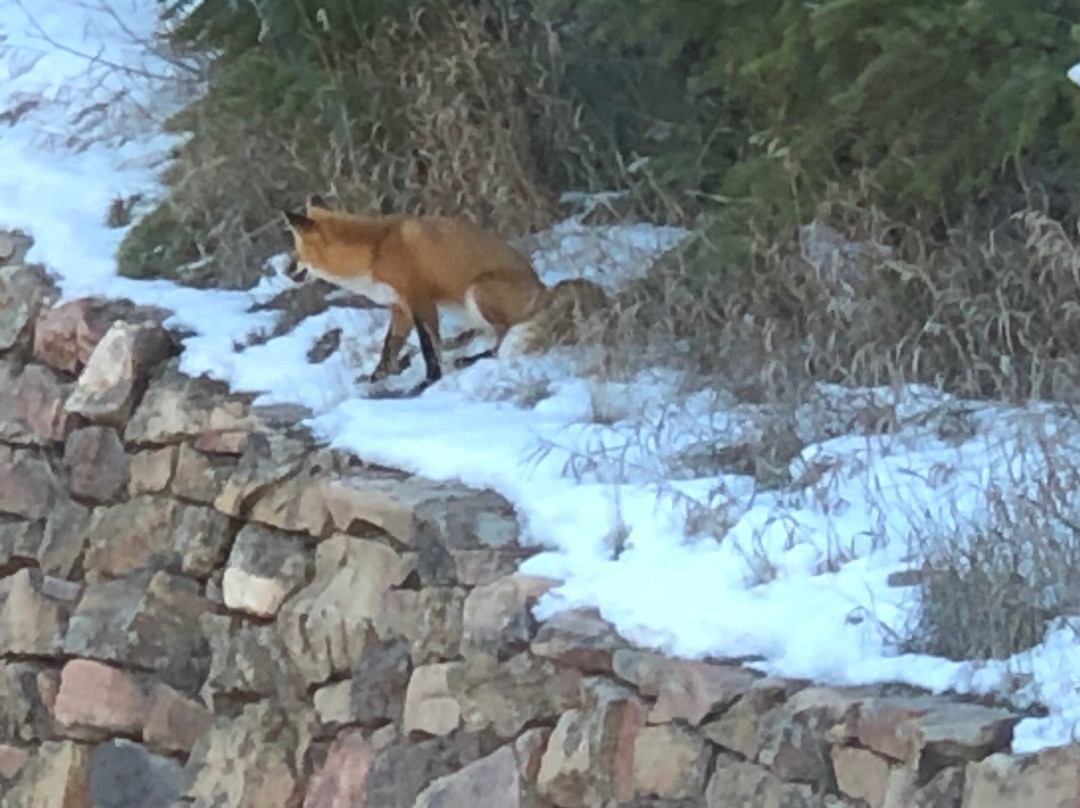 Timbers Bachelor Gulch主图