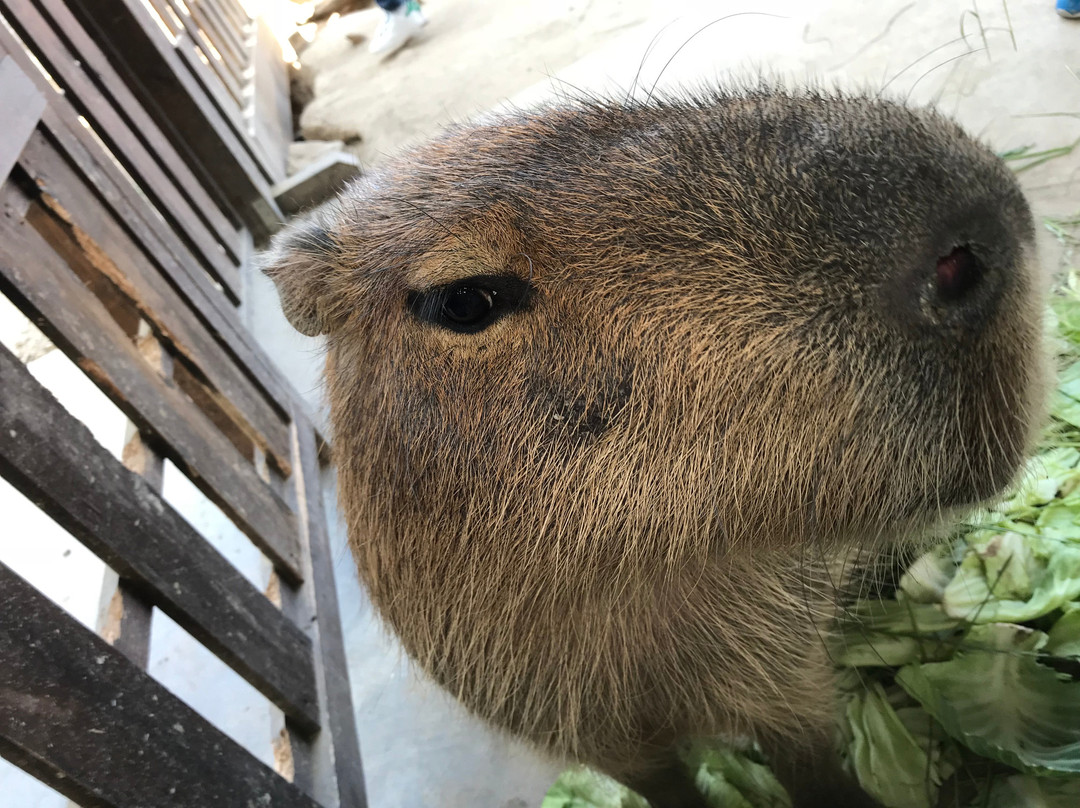 Maniwa Agri Garden-真庭市必去景点