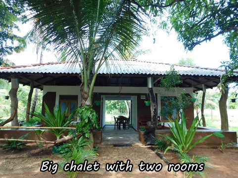 Kuda Oya酒店住宿-Yala Avian Eye Safari