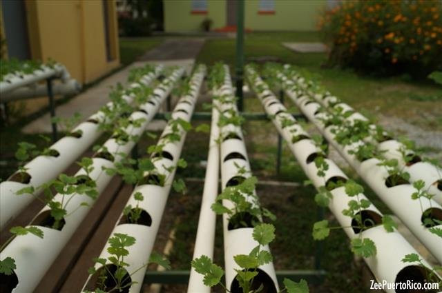 Casa Pueblo-Adjuntas必去景点