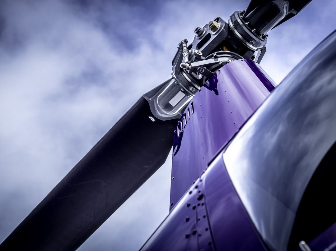 Synergy Aviation-埃德蒙顿必去景点