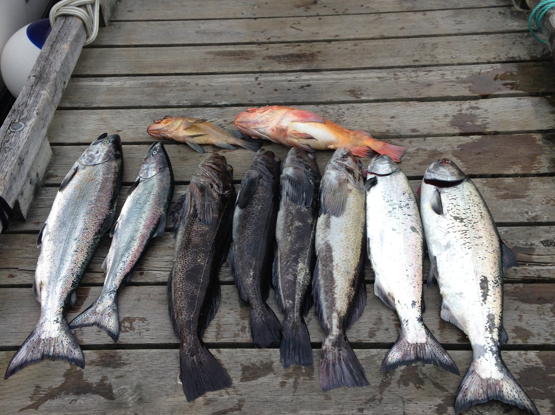 Predator Charters-不列颠哥伦比亚省必去景点