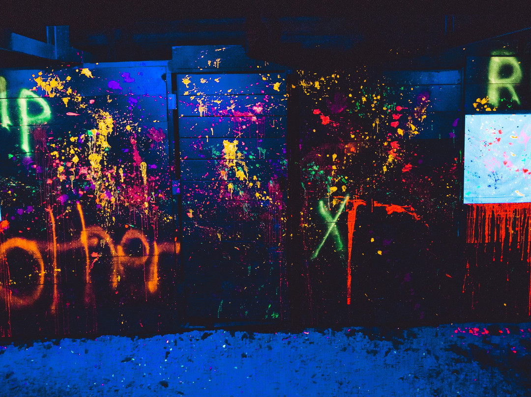 The Haunted Castle and Black Forest-韦恩堡必去景点