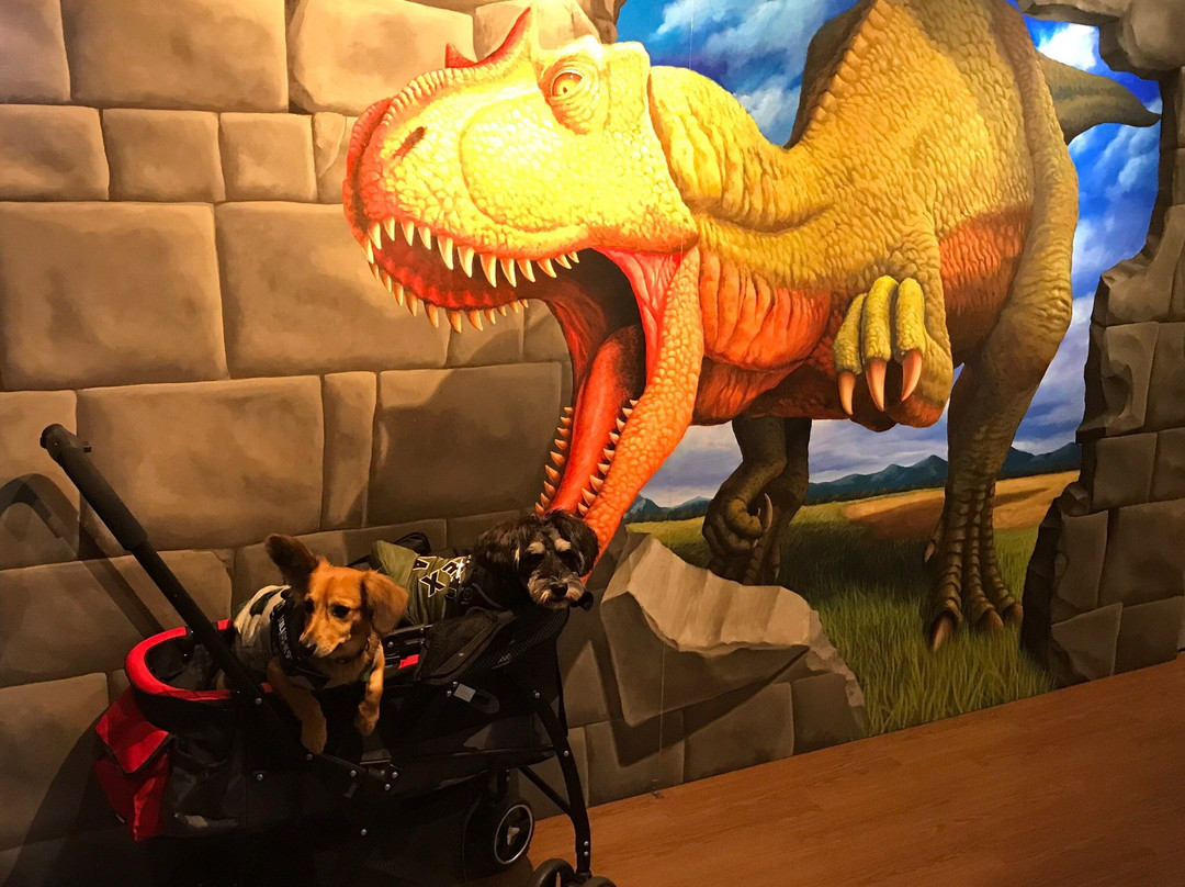 House of Trick Art-那须町必去景点