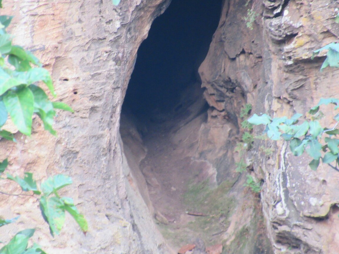 Sanjay National Park景点图片