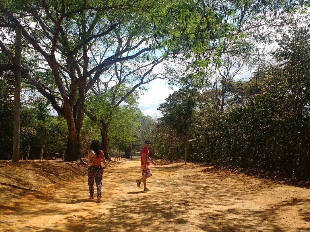 Parque Estadual do Rio Doce景点图片